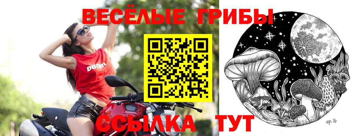 Псилоцибиновые грибы Cubensis Кызыл