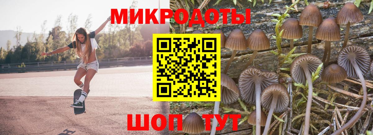 Кызыл  Псилоцибиновые грибы Magic Shrooms  Вход с VPN 